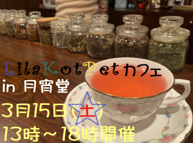 LilaKotPet(りらこっぺ)カフェ in 月宵堂