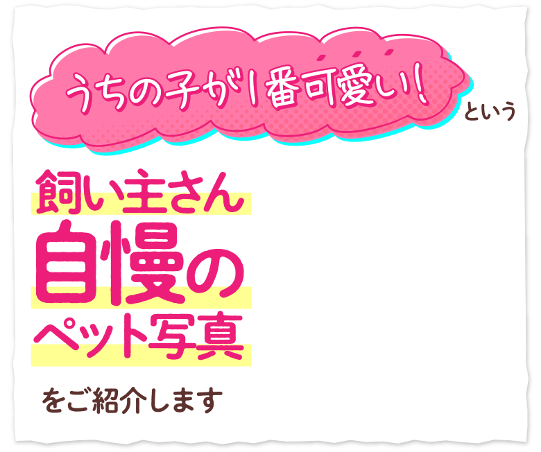 うちの子が一番 ペット自慢 トップ